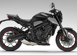 Honda trình làng cặp đôi 2023 CBR650R và CB650R