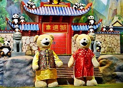 Nếu bạn là người yêu gấu, nhất định phải ghé thăm Bảo tàng gấu Teddy Pattaya