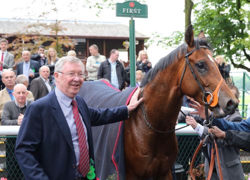 Ngựa quý Rock of Gibraltar của Sir Alex chết ở tuổi 23