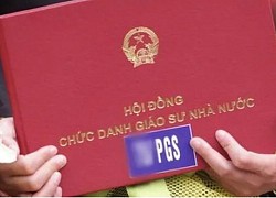 &#8216;Người trong cuộc&#8217; nêu lý do chưa muốn nâng chuẩn chức danh lên PGS, GS