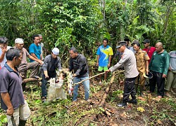 Trăn dài gần 7m nuốt chửng người phụ nữ Indonesia