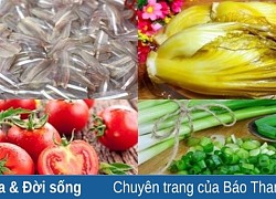 Ba món canh ngon từ cá mai