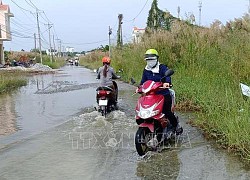 Bạc Liêu: Mưa lớn, triều cường dâng cao khiến nhiều tuyến đường bị hư hỏng