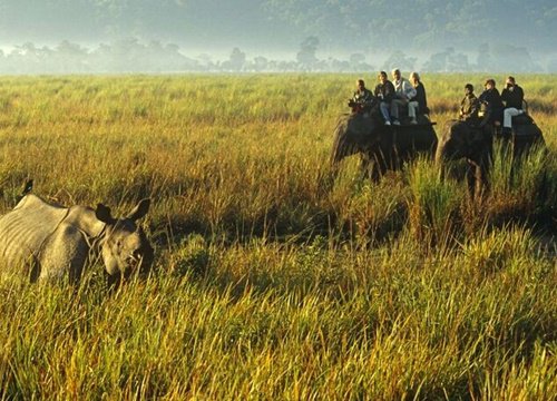 Khám phá những vườn quốc gia ở Ấn Độ được UNESCO công nhận