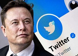 "Bom tấn" đầu tiên của Elon Musk sau khi tiếp quản Twitter: 20 USD cho một tick xanh