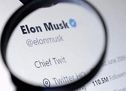 Elon Musk chốt mức thu phí trên Twitter