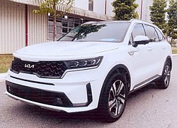 Kia Sorento HEV 2023 dùng động cơ lai xăng - điện lộ diện tại Việt Nam