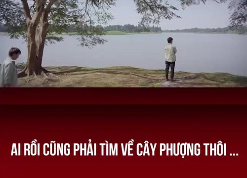 "Nhân vật" xuất hiện thường xuyên trong phim Việt nhưng không nói câu thoại nào