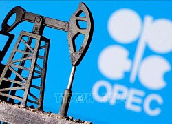 OPEC+ khẳng định đảm bảo cân bằng thị trường dầu mỏ thế giới