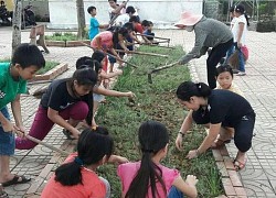 Phát triển năng lực học sinh lớp 5 qua môn Khoa học