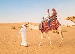 Sa mạc Safari Dubai - Bí ẩn cổ tích ở Dubai