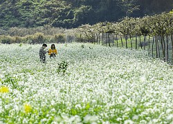 Top 9 điểm vui chơi ở Quy Nhơn về đêm