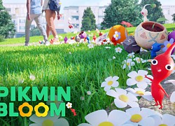 Tròn một năm phát hành, Pikmin Bloom tổ chức lễ kỷ niệm trong suốt tháng 11