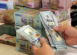 Tỷ giá USD hôm nay 1/11: USD tiếp đà tăng