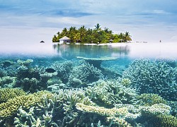 Du lịch Maldives