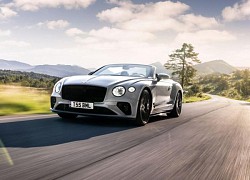 Cập nhật bảng giá xe Bentley mới nhất tháng 11/2022