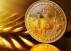 Giá Bitcoin hôm nay 28/11: Bitcoin 'dậm chân tại chỗ', loạt tiền ảo sa lầy