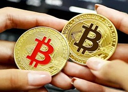 Giá Bitcoin hôm nay 30/11: Bitcoin bất ngờ tăng giá