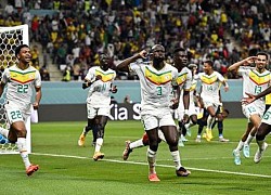 SENEGAL- Những chú sư tử với trái tim quả cảm