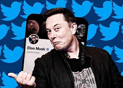 Tháng đầu hỗn loạn của Elon Musk tại Twitter