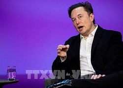 Tỷ phú Musk 'kêu ca' Apple vì gây áp lực lên Twitter