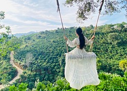 Dalaland Đà Lạt: "Tiểu Bali thu nhỏ" giữa lòng thành phố sương mù