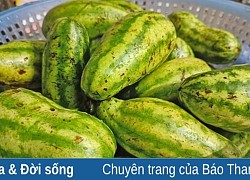 Dưa hấu non muối chua