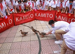 Đưa trò chơi dân gian vào môn Giáo dục thể chất: Thầy phải nhiều 'vốn'