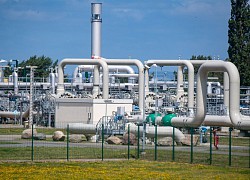 Giá gas hôm nay 6/11: Sức nóng thị trường khí đốt sẽ không dừng lại