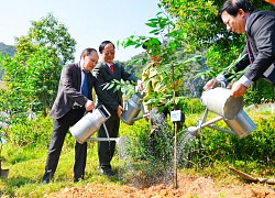 Lần đầu tiên tổ chức kỷ niệm Ngày Quốc tế về Khu dự trữ sinh quyển tại Việt Nam