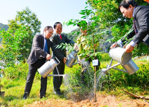 Lần đầu tiên tổ chức kỷ niệm Ngày Quốc tế về Khu dự trữ sinh quyển tại Việt Nam