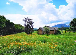 Ngất ngây với 7 Farmstay Đà Lạt yên bình, đẹp đến mê lòng