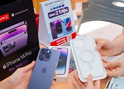 Nguồn cung thấp, loạt iPhone đời cũ bất giờ tăng giá tại các đại lý