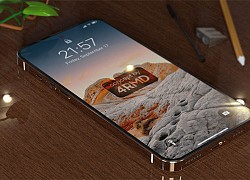 iPhone 15 series có gì mới? Thay đổi cổng sạc, nâng cấp camera, tăng tốc độ truyền dữ liệu,...