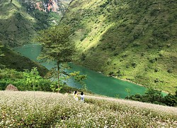 Sông Nho Quế: "Nàng thơ" giữa cao nguyên đá hùng vĩ