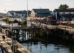 Du lịch Canada: Làng chài cổ Steveston