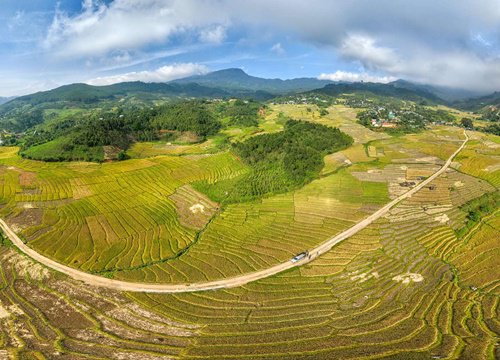 Mùa vàng ở Măng Ri, Tu Mơ Rông (Kon Tum)