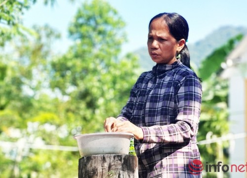 Vụ dùng ô tô bắt trộm 38 con chó: Trải lòng của người mất 'người bạn' trung thành nhất