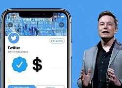 Elon Musk bị mỉa mai vì tham vọng thu phí tài khoản "tích xanh"