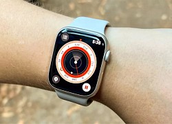 Apple Watch Series 8 có gì?