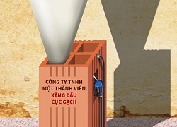 Công ty TNHH một thành viên... một cục