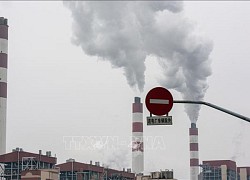 Đặc phái viên LHQ: COP27 là cơ hội tốt để thúc đẩy hành động khí hậu