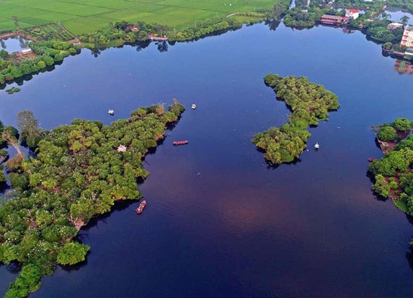 Đảo Cò Chi Lăng - "Những bông hoa trắng biết bay"