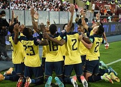 FIFA ra quyết định vụ loại Ecuador khỏi World Cup 2022