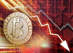 Giá Bitcoin hôm nay 9/11: Lao dốc không phanh, Bitcoin sẽ đi về đâu?