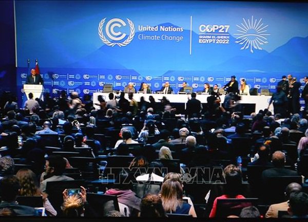 COP27: Colombia cam kết đóng góp hàng tỷ USD bảo vệ rừng Amazon