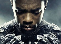 Kevin Feige giải thích lý do không tuyển lại Black Panther?