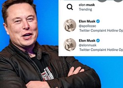 Mạo danh Elon Musk, hàng loạt người nổi tiếng bị Twitter khóa vĩnh viễn tài khoản