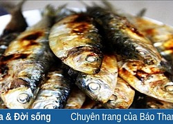 Món ngon ở thành phố du lịch biển Sầm Sơn