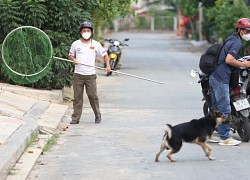 Một ngày theo chân đội bắt chó thả rông